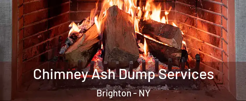  Chimney Ash Dump Services Brighton - NY