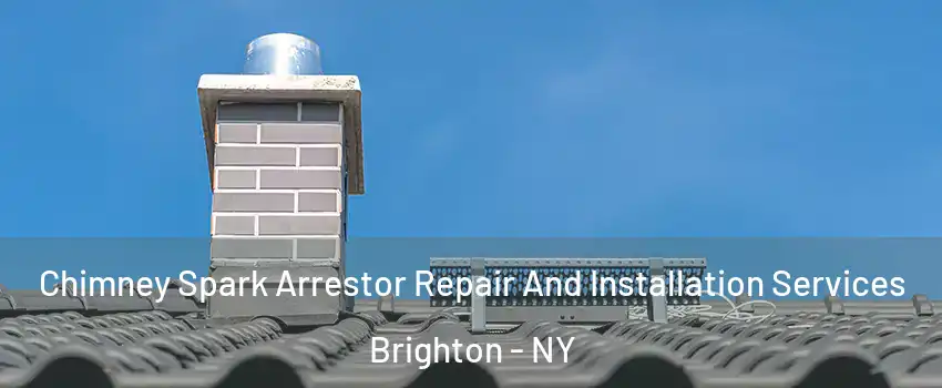  Chimney Spark Arrestor Repair And Installation Services Brighton - NY